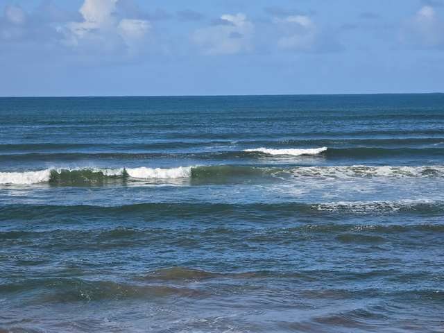 Clean waves in front of the shop, no surfers